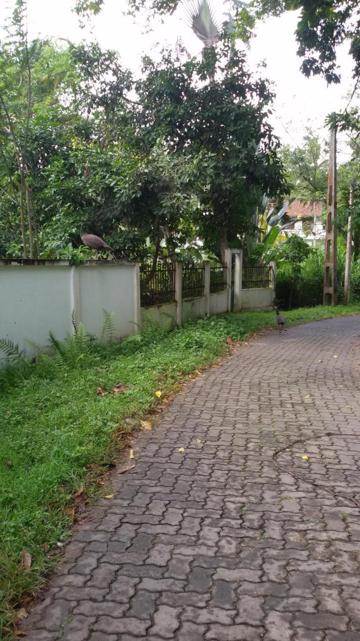 Vero Homestay Galle- Your Home Away From Home! Экстерьер фото